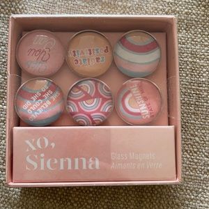 New in Box Cute Pink Glass Magnet set